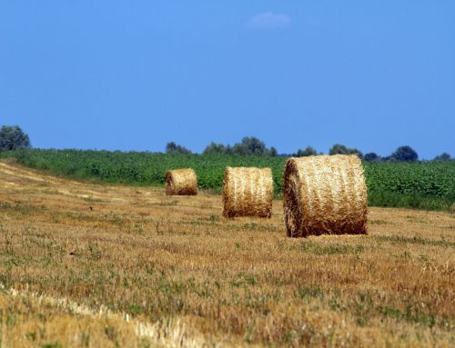 During baling season, there are six things to keep in mind.